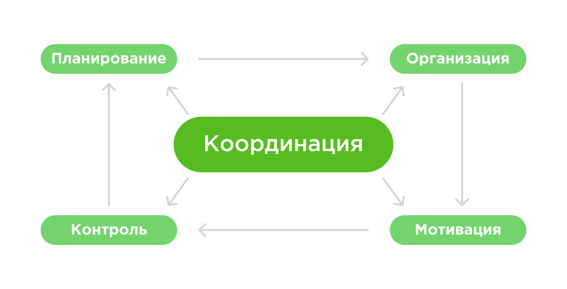Управление и координация работы отдела