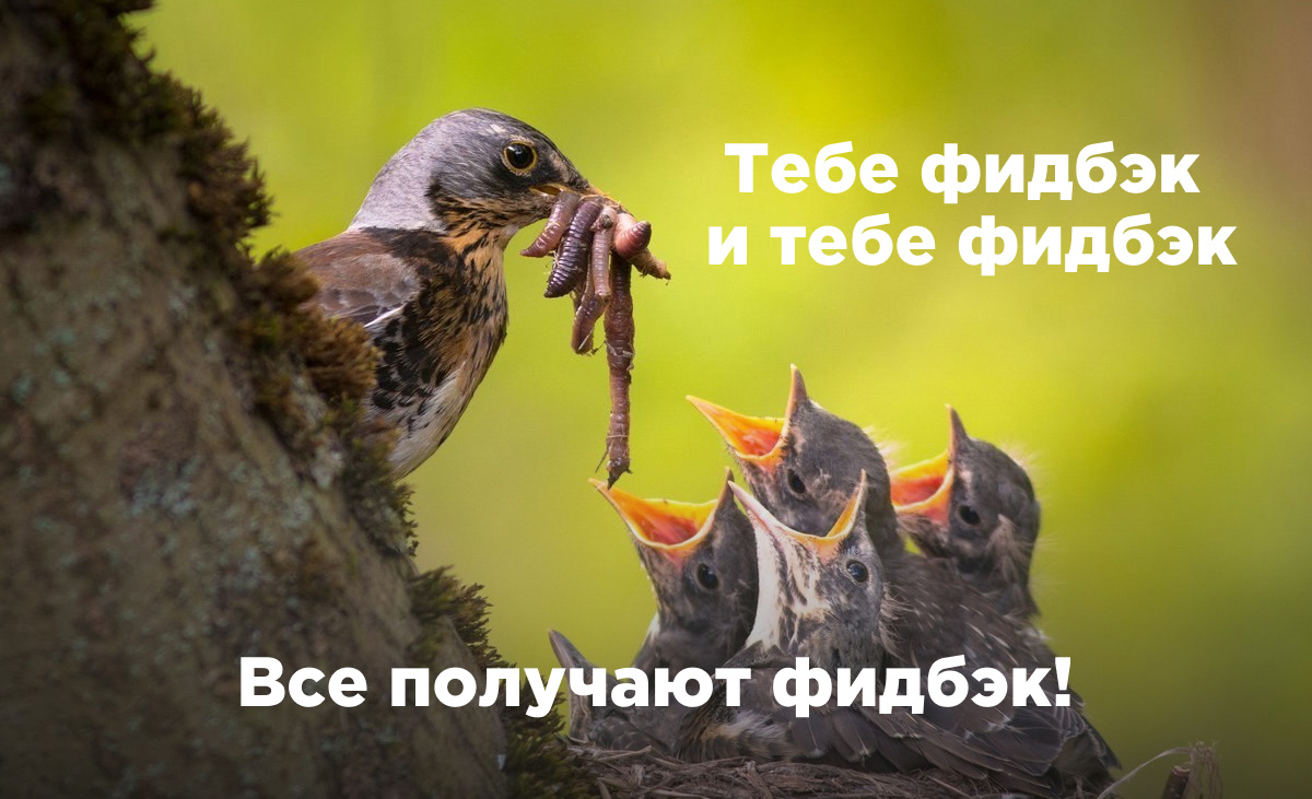 Обратная связь