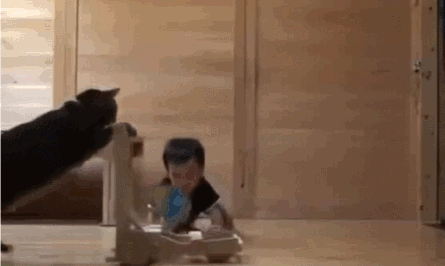 Коуч за работой