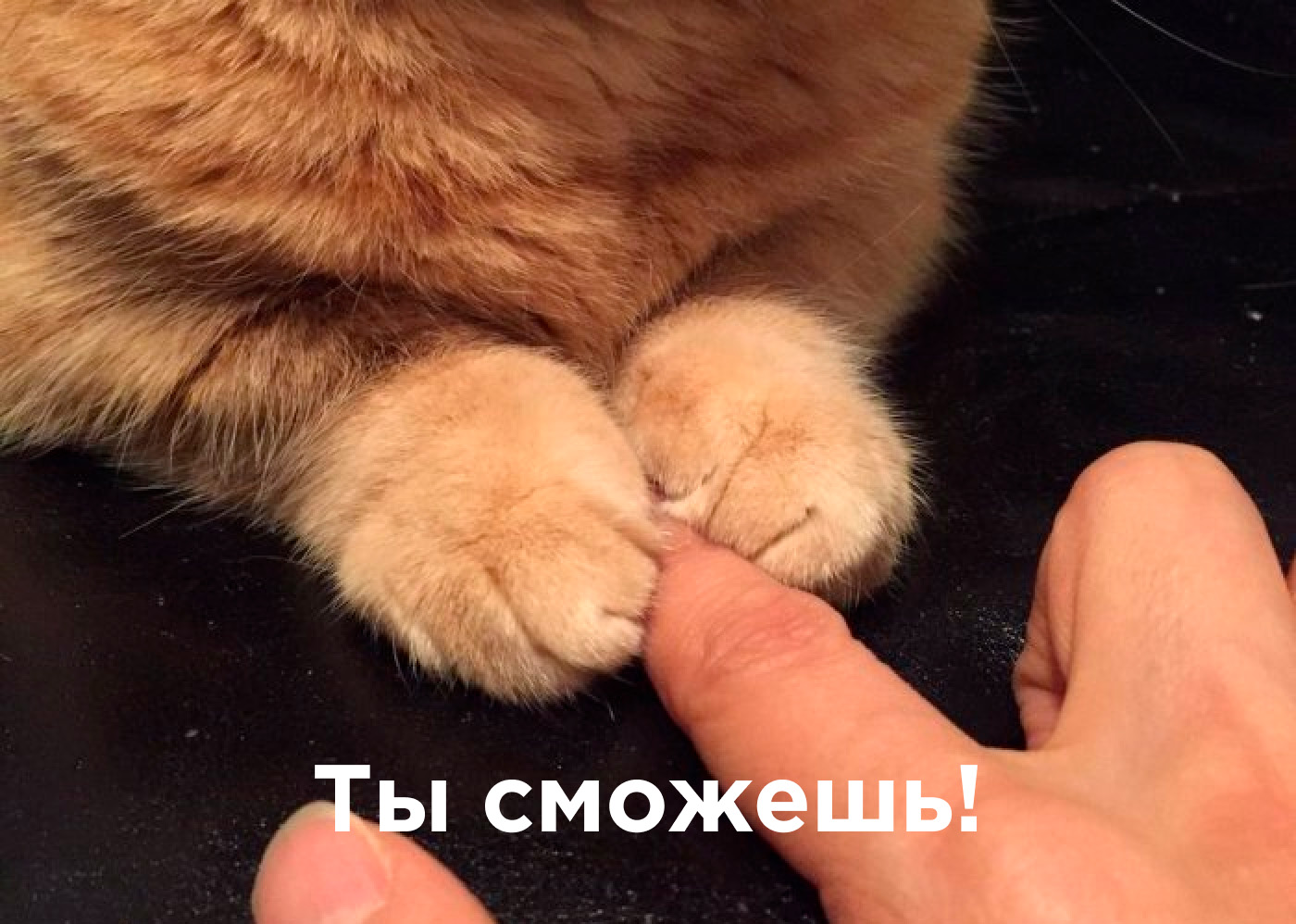 Немного мотивации