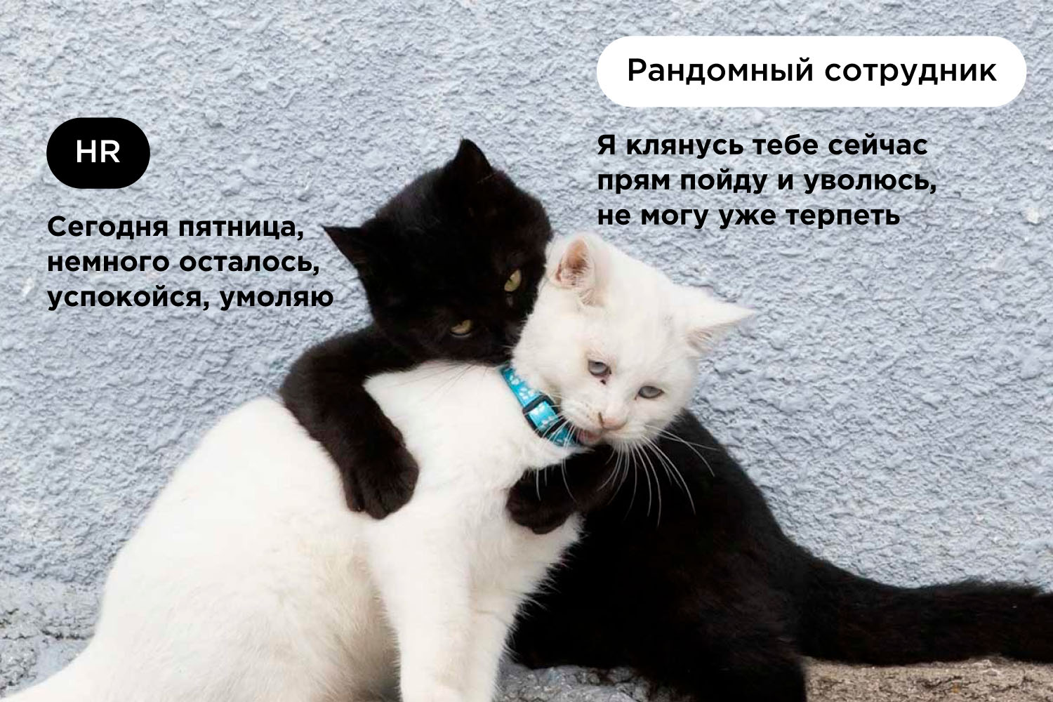 Удержание мем